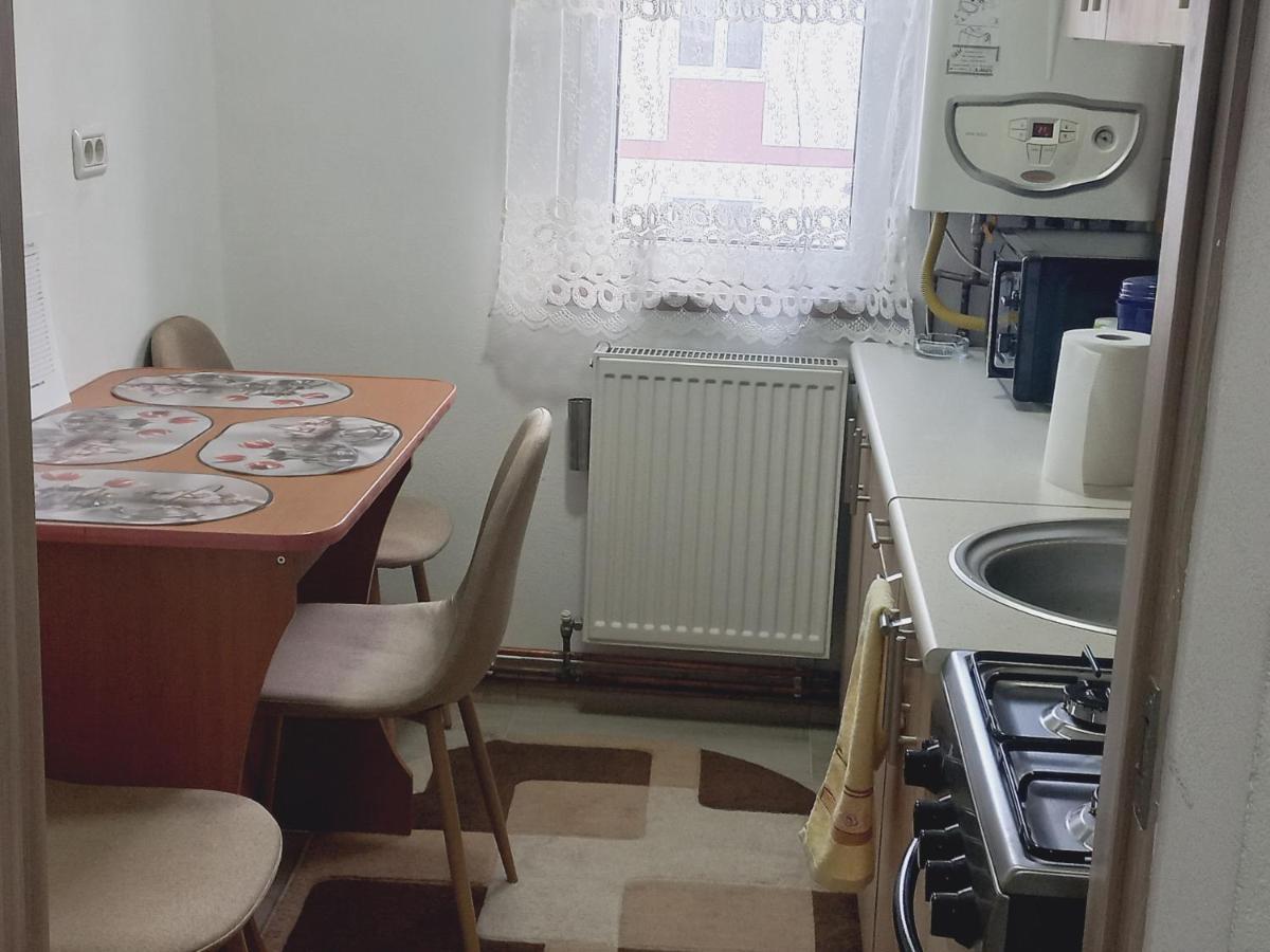 Apartament Bianca Câmpulung Moldovenesc Eksteriør billede