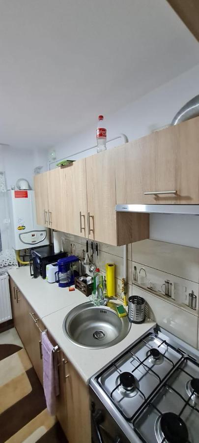 Apartament Bianca Câmpulung Moldovenesc Eksteriør billede