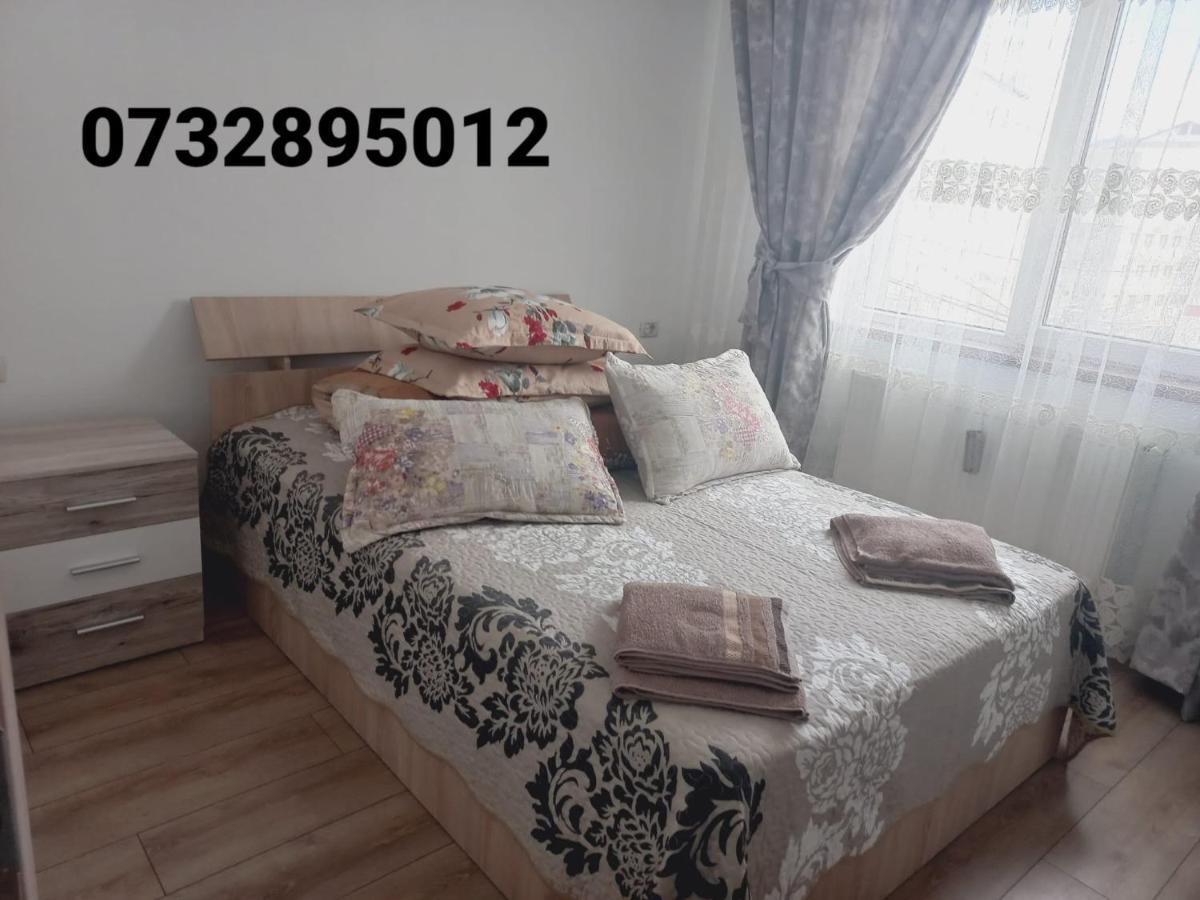 Apartament Bianca Câmpulung Moldovenesc Eksteriør billede