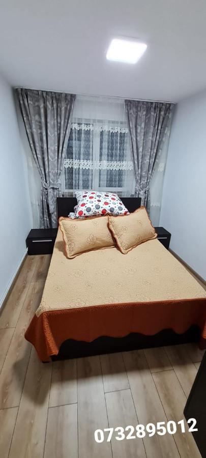 Apartament Bianca Câmpulung Moldovenesc Eksteriør billede